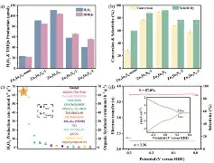 67式木柄手榴弹弹坑 67式木柄手榴弹弹坑